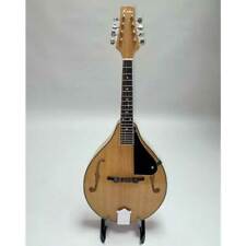 electric mandolin for sale  Ireland