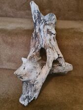 Unique driftwood sea for sale  BARROW-IN-FURNESS