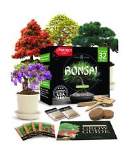 Home grown bonsai for sale  USA