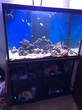 Marine aquarium tank for sale  STOKE-ON-TRENT