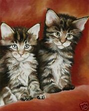 Maine coon kittens for sale  Shipping to Ireland