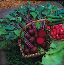 Vegetable beetroot boltardy for sale  BEAWORTHY