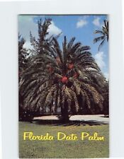 Postcard florida date for sale  Almond