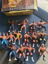 Rare wcw galoob for sale  Perryville