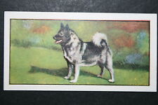 Elkhound early 1960 for sale  DERBY