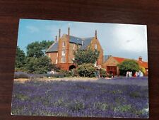 Norfolk lavender ltd for sale  NORTHAMPTON