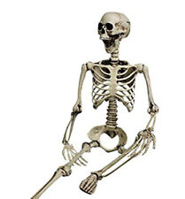 Skelett halloween 96cm gebraucht kaufen  Rellingen