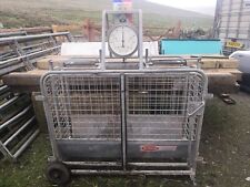lamb weighing scale for sale  HAWES