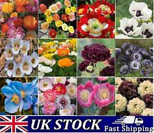 Poppy flower seeds for sale  LONDON