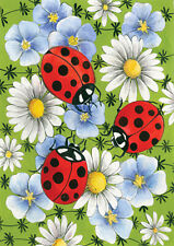 Toland flowers ladybugs for sale  Poulsbo