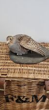 Taxidermy grey partridge for sale  ROMFORD