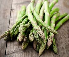 100 asparagus seeds for sale  Buffalo