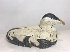 Maine eider duck for sale  Deep River