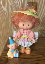 Strawberry shortcake party for sale  Jenkintown