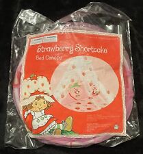 Classic strawberry shortcake for sale  Oneonta