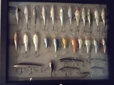 30 Rapala Lures -ssr8, Fat Rap Salmon Specials Etc Disc Lures And Colors for sale  Shipping to South Africa