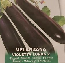 Italian eggplant melanzana for sale  LONDON