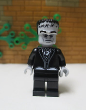 (G7/2) Lego mfo020 Monster Butler (Frankenstein) 10228 Monster Fighters usato  Spedire a Italy