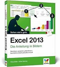 Excel 2013 anleitung gebraucht kaufen  Berlin