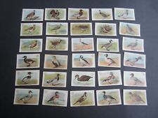 Conjunto de 30 Cartões Antigos - Série Game Birds - Braço e Martelo - CARTÕES COMERCIAIS - Church & Co. comprar usado  Enviando para Brazil