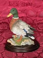 country artists duck for sale  STOKE-ON-TRENT