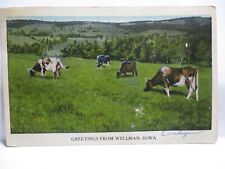 cattle pasture for sale  Johnstown