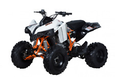 Quad atv tor usato  Mazzarrone