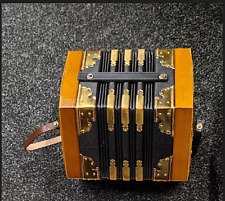 Organetto fisarmonica concerti usato  Capaccio Paestum