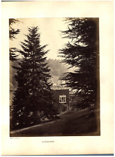 Collodion luscombe vintage d'occasion  Pagny-sur-Moselle