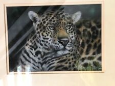 Stunning original leopard for sale  ASHFORD