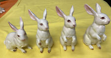rabbits bunnies does for sale  Claremont