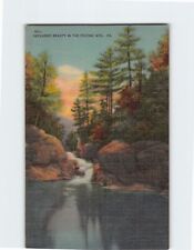 Postcard secluded beauty for sale  Stevens Point