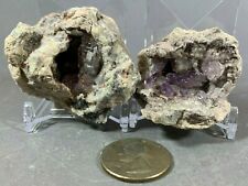 Geode halves amethyst for sale  Pittsboro