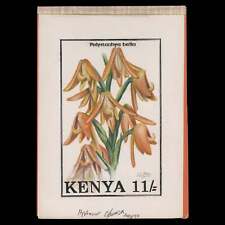 Kenya 1994 polystachya for sale  GLASTONBURY