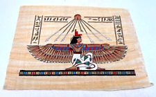 Egyptian papyrus planted for sale  DARTFORD