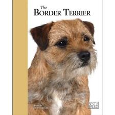 Border terrier best for sale  UK