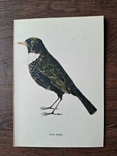 Vintage bird lithography for sale  DERBY