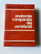Kent jr. anatomia usato  Italia