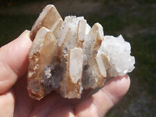 Minerali r43 barite usato  Buggiano