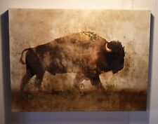 Beautiful bison canvas for sale  Coral