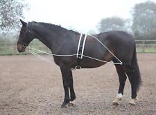Shires lunging aid for sale  Shipping to Ireland
