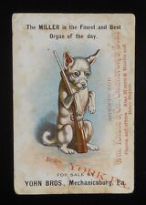 1890s vtc dog for sale  Reading