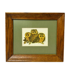 Three cute owls for sale  Gilmer