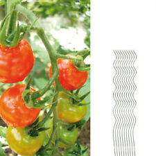Tomatenspiralstab 110cm verzin gebraucht kaufen  Budenheim