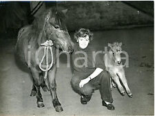 1953 dudley zoo usato  Milano