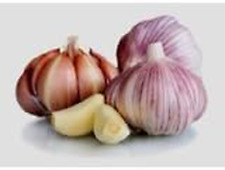 Garlic bulb fresh for sale  Denver