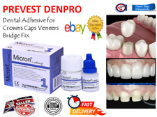 Permanent tooth teeth for sale  PERTH