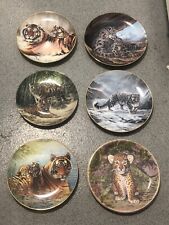 China tiger collectors for sale  LONGFIELD