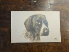 Cartolina ritratto cane usato  Marano Sul Panaro