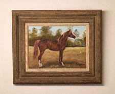 Stunning horse equestrian for sale  Roxbury Crossing